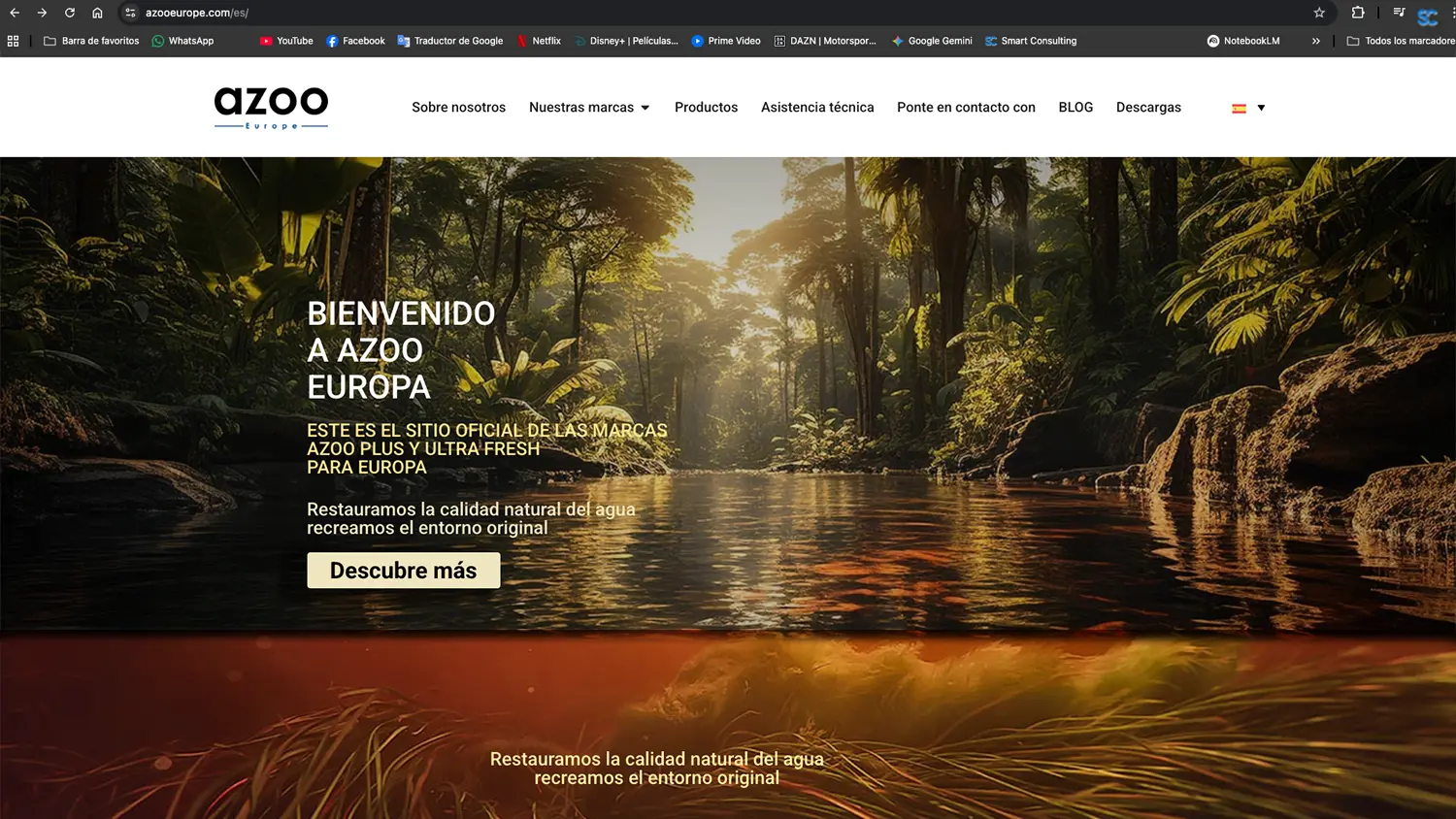 Diseño Web estratégico Smart Consulting