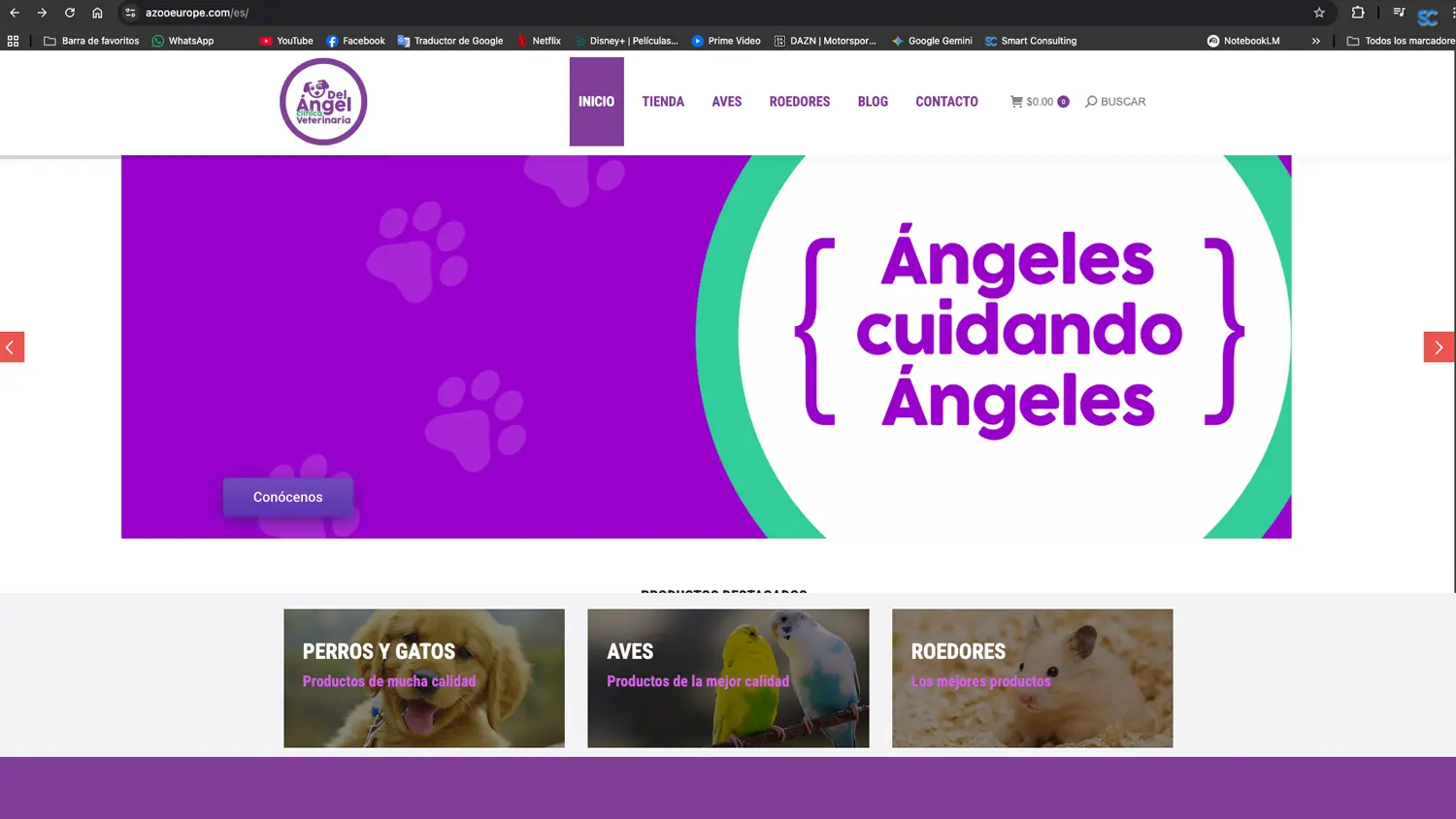 Diseño Web estratégico Smart Consulting