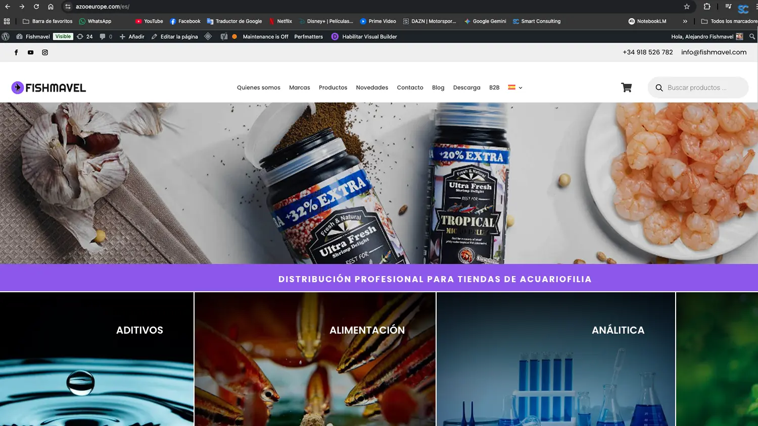 Diseño Web estratégico Smart Consulting