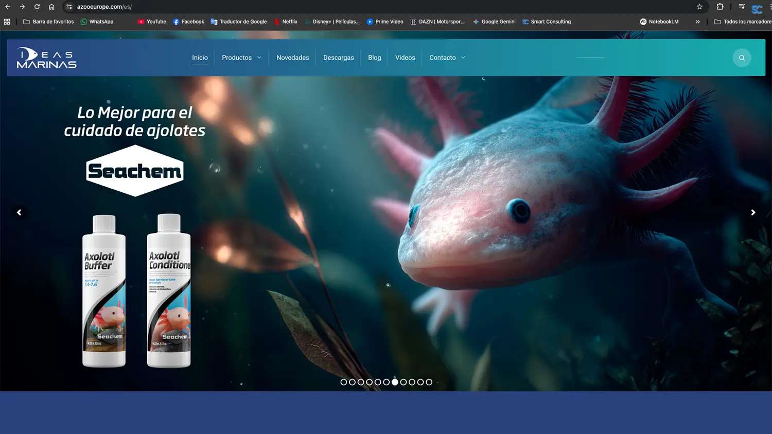 Diseño Web estratégico Smart Consulting