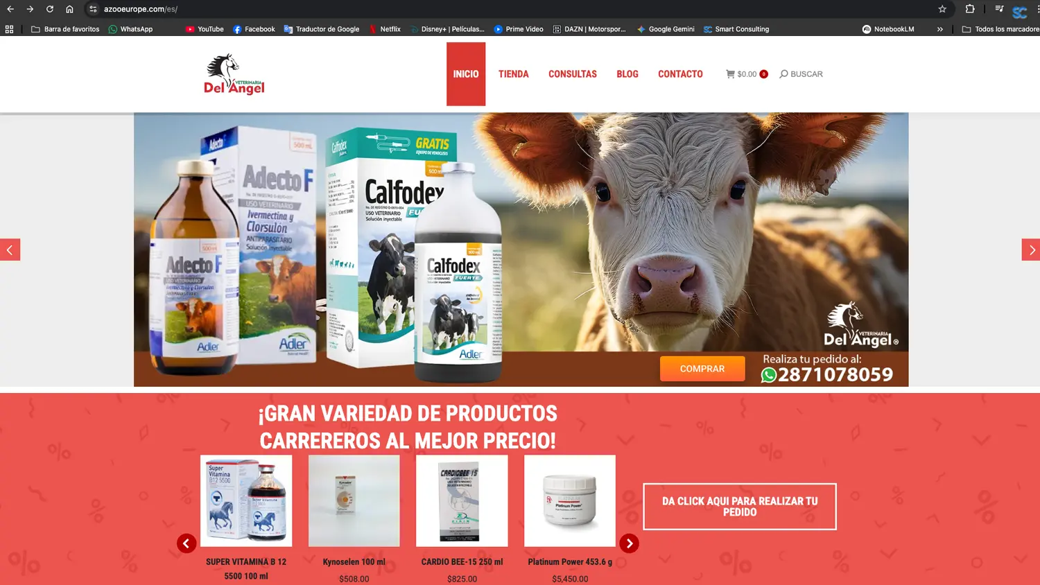 Diseño Web estratégico Smart Consulting