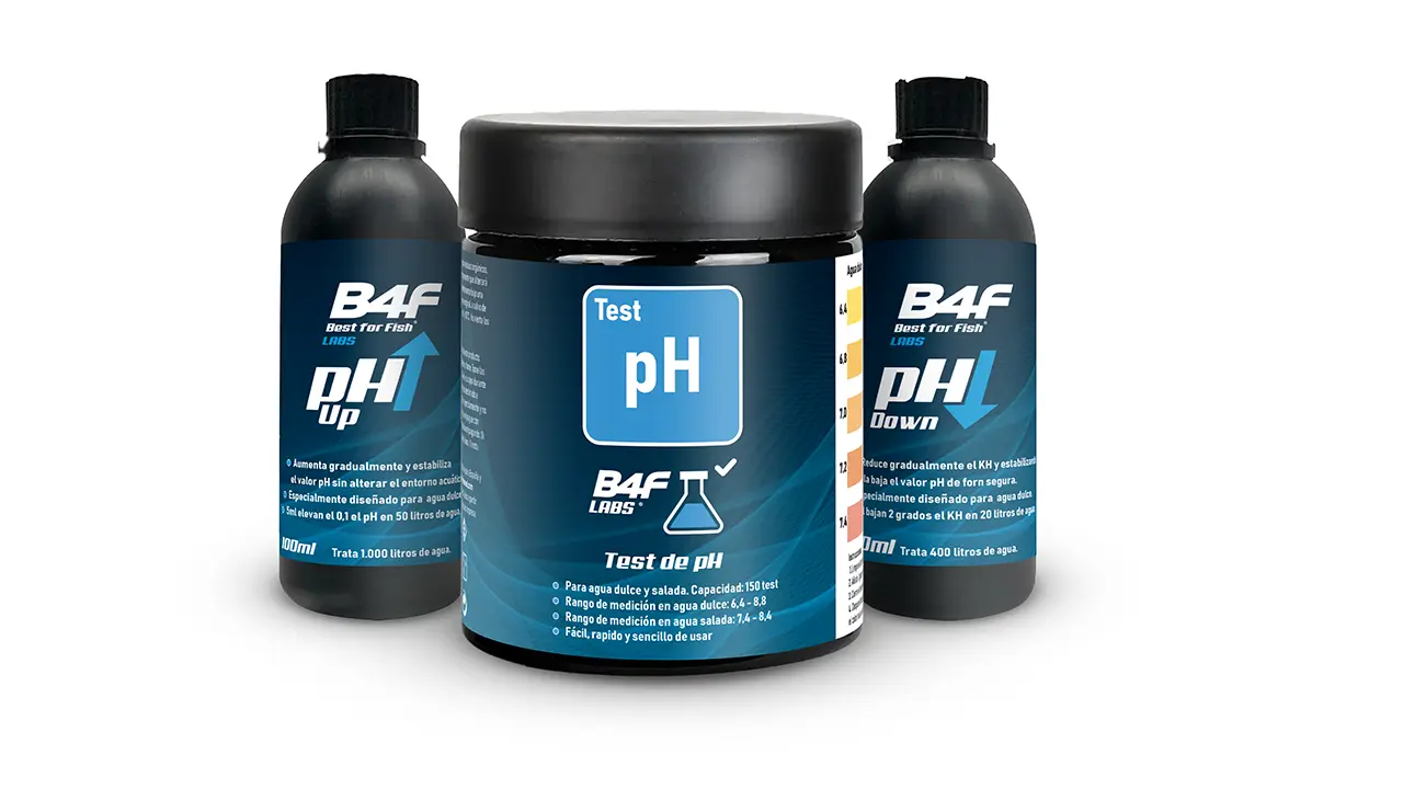 Diseño profesional de etiquetas Smart Consulting